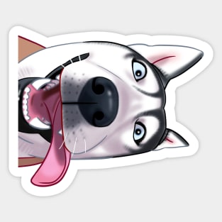 Funny Siberian Husky Face Sticker